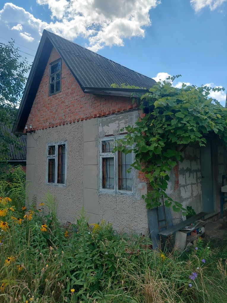 Продаж дачі в передмісті Чернігова