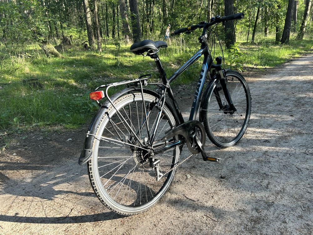 Rower Trekkingowy Giant Argento RS 3
