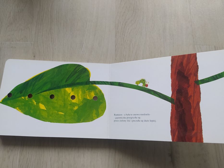 Bardzo głodna gąsienica - Eric Carle