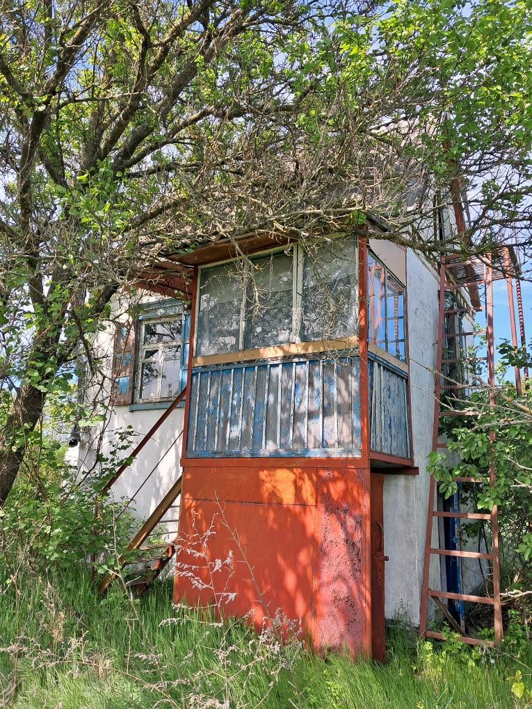 Продам дом - дачу в Новомосковске.