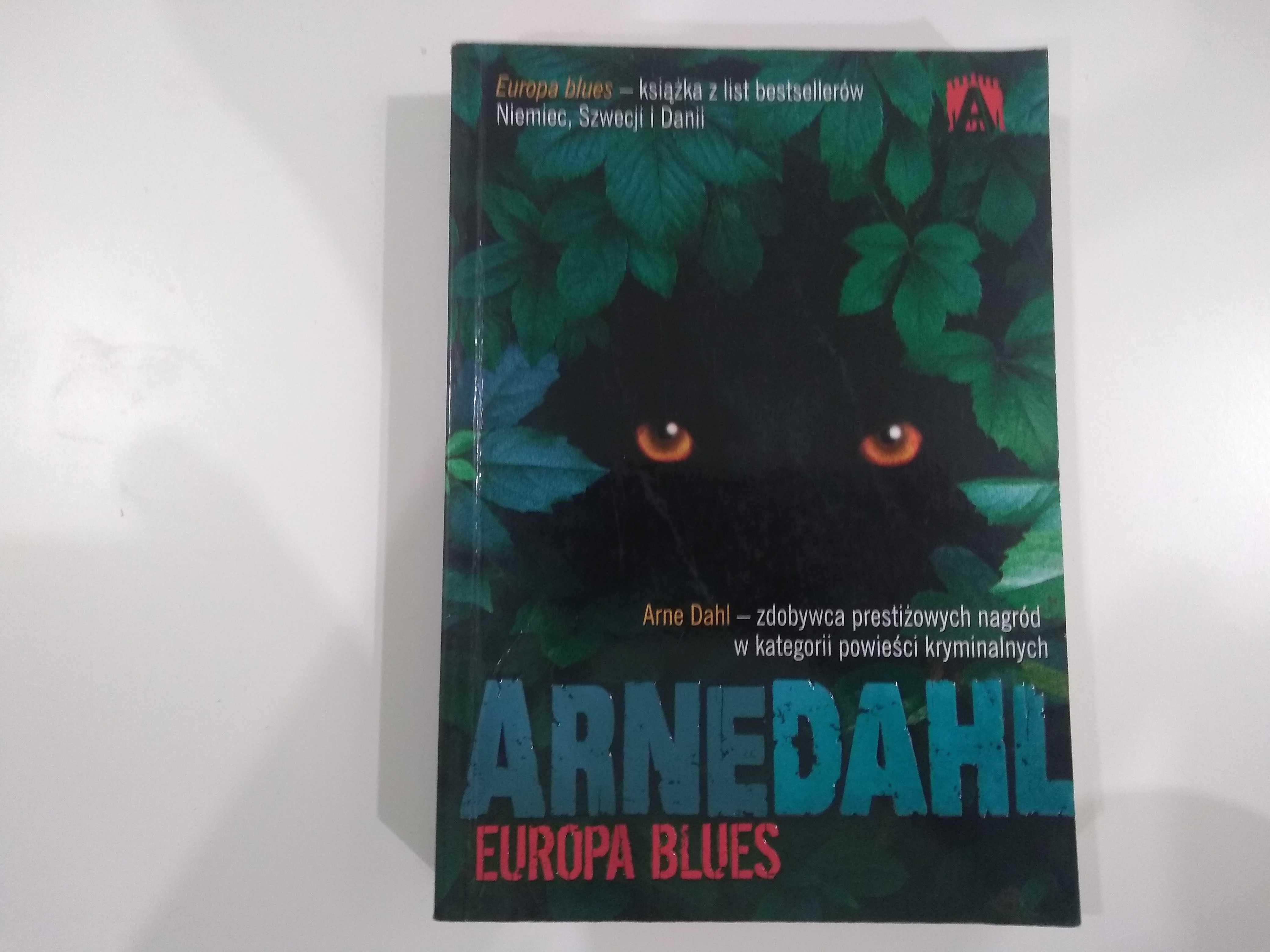 Dobra książka - Europa blues Arne Dahl (PE)