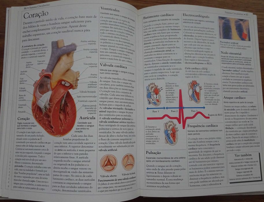 Dicionário Escolar do Corpo Humano