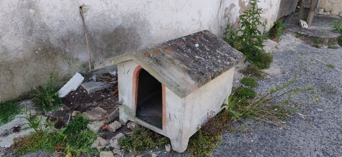 Vendo casa de cão