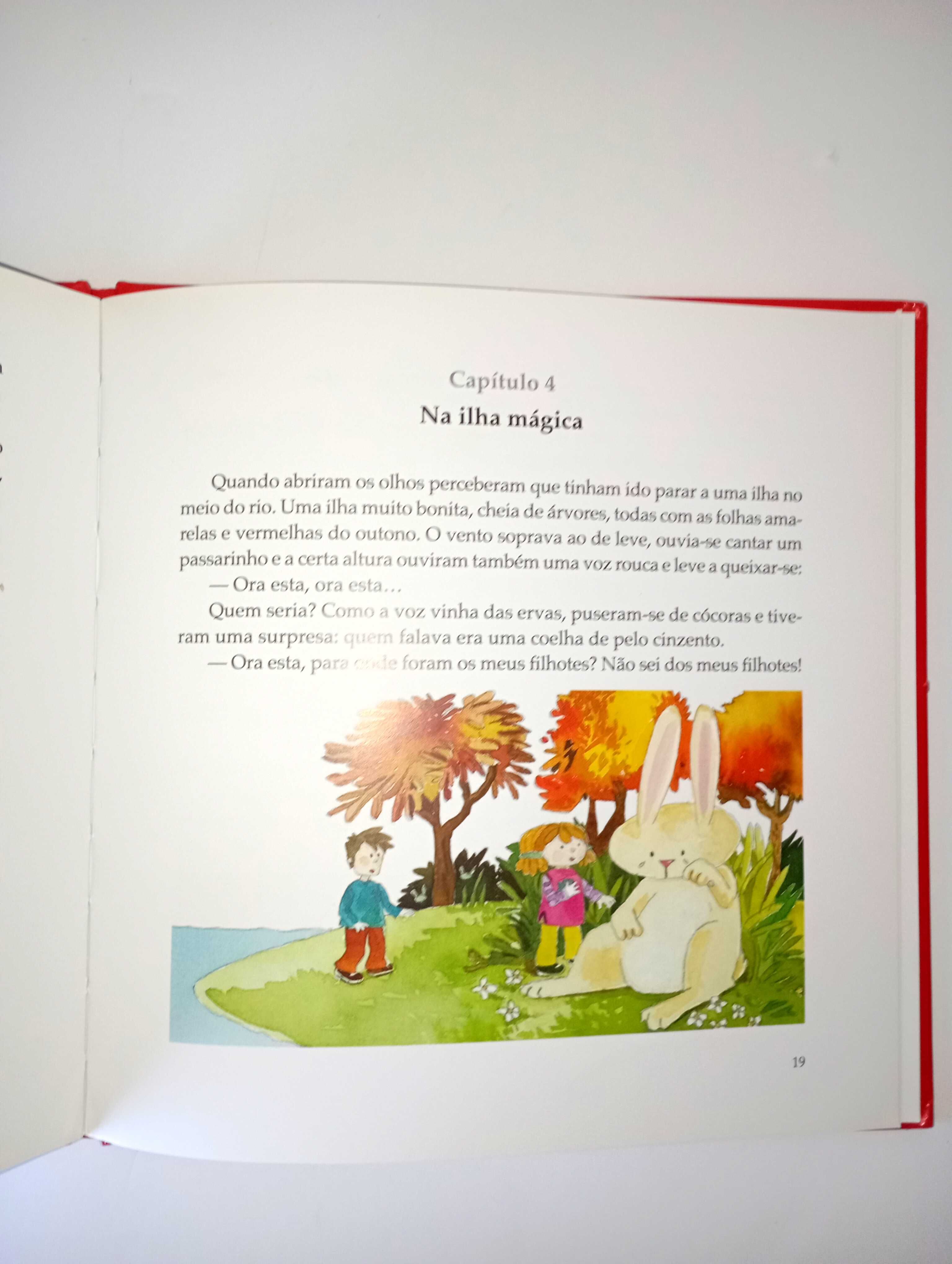 Os Primos e a Fada Atarantada - Ana Maria Magalhães/ Isabel Alçada