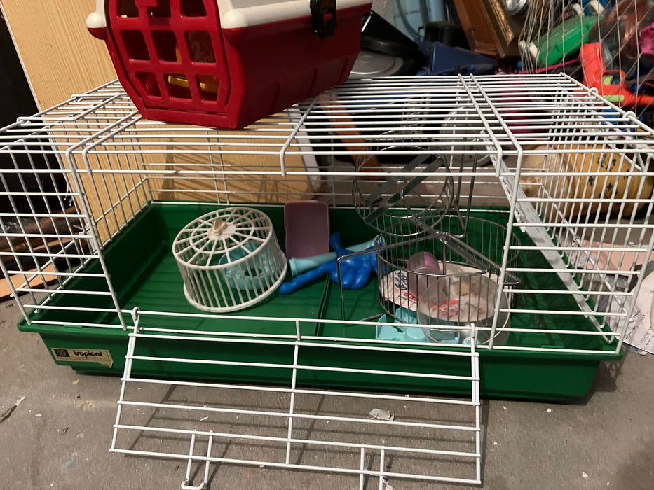 Gaila usada hamster rato, mais caixa de transporte