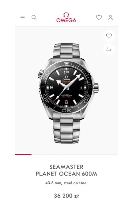 OMEGA SEAMASTER PLANET OCEAN 600M 43.5 mm, steel on steel