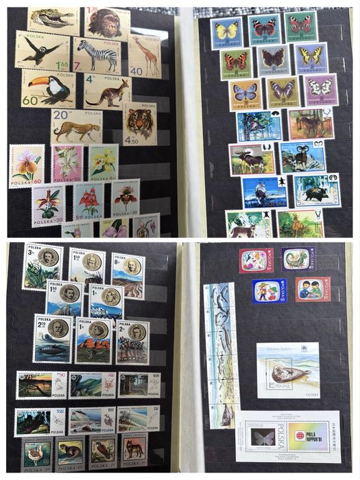 Sprzedam klaser ze znaczkami pocztowymi czystymi ratytas