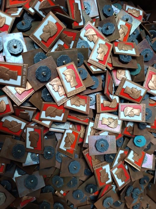 Odznaka Wzorowy żołnierz wz. 73, na mundur wojskowy, większa ilość