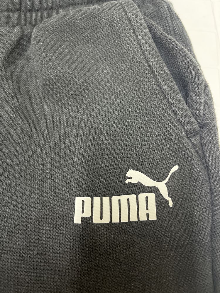 Calcas marca Puma