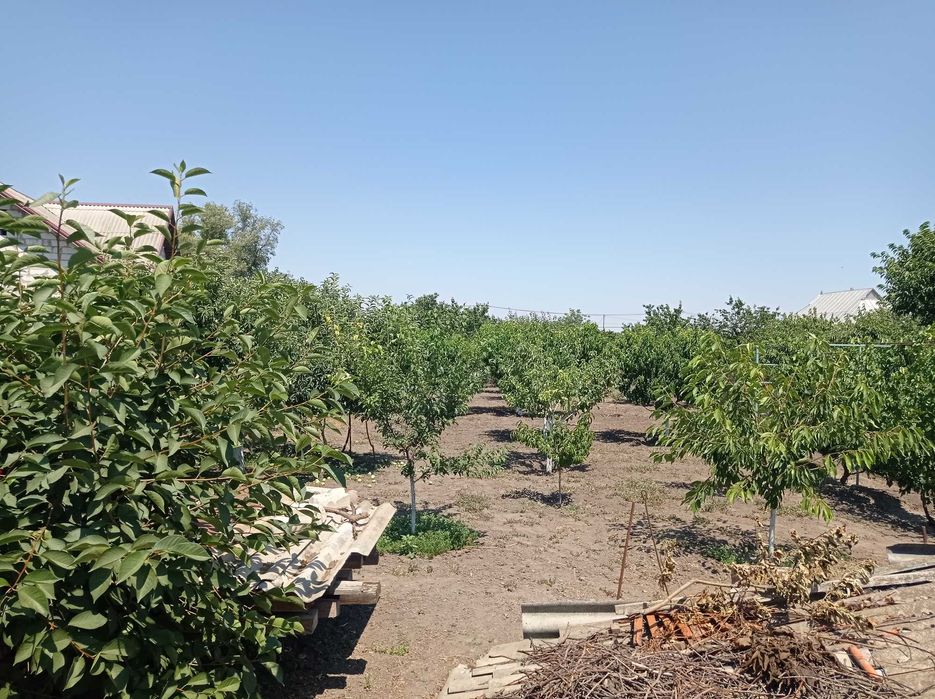 Продам участок в центре Беляевки