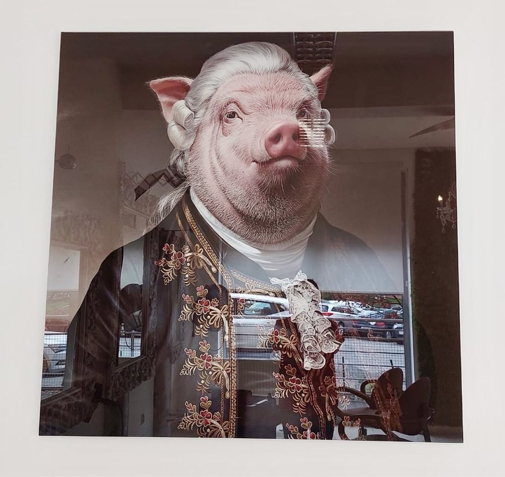 Grafika KARE DESIGN Gentleman Pig 120x120cm