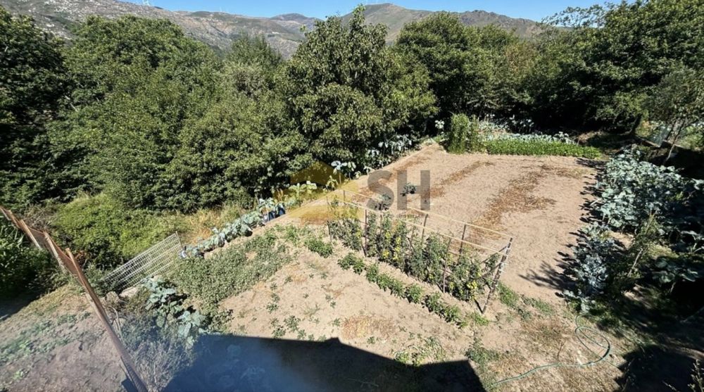 Moradia T3 p/recuperar | Gestaçô, Baião