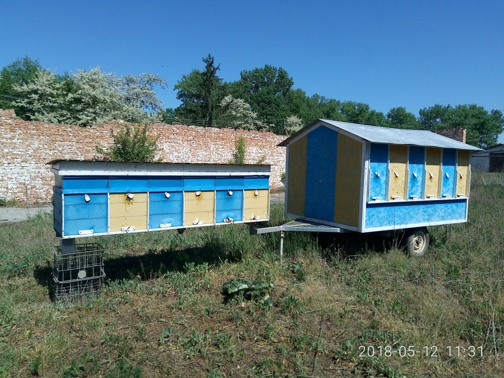 Бджолопавільйон, пасіка, бджоли