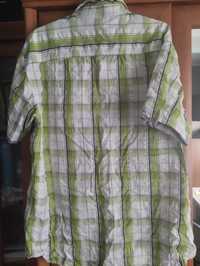 Koszula zielona kratka