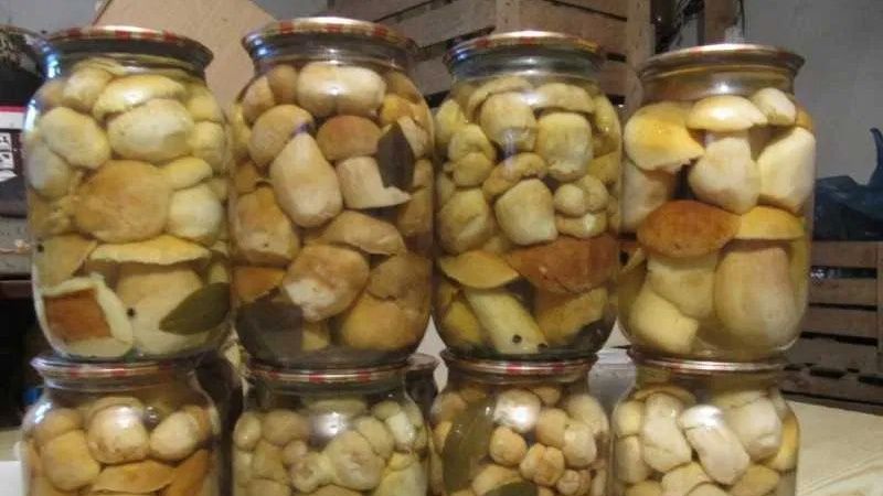 Продам Мариновані Білі Гриби свіжого врожаю))!