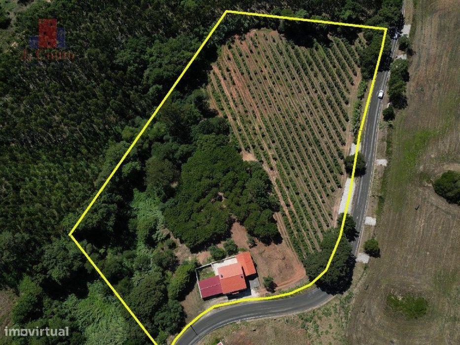 Quintinha com 14.000m2 de terreno com mina de água e árvores de fruto.