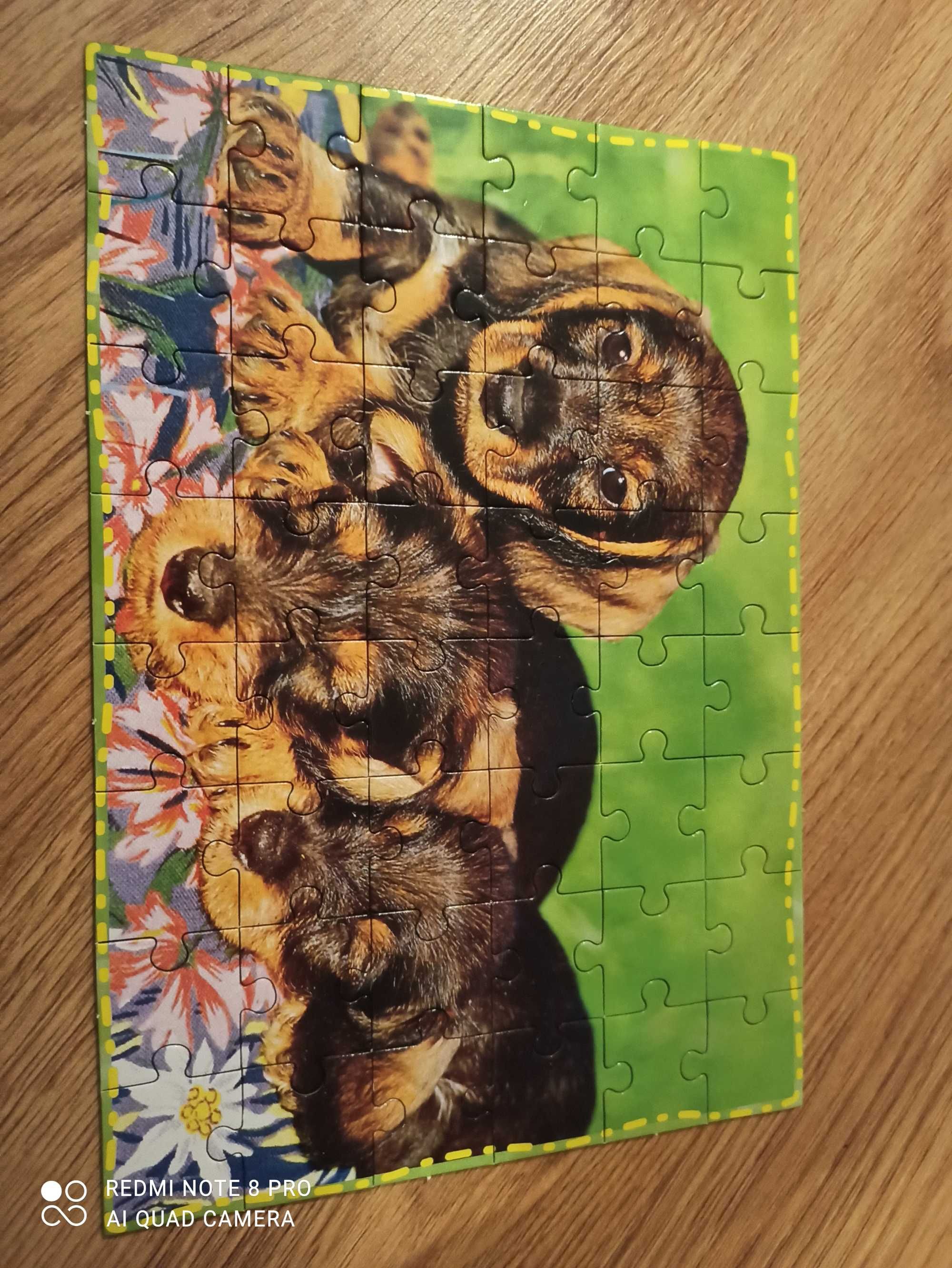 Książka z puzzlami- zwierzęta domowe