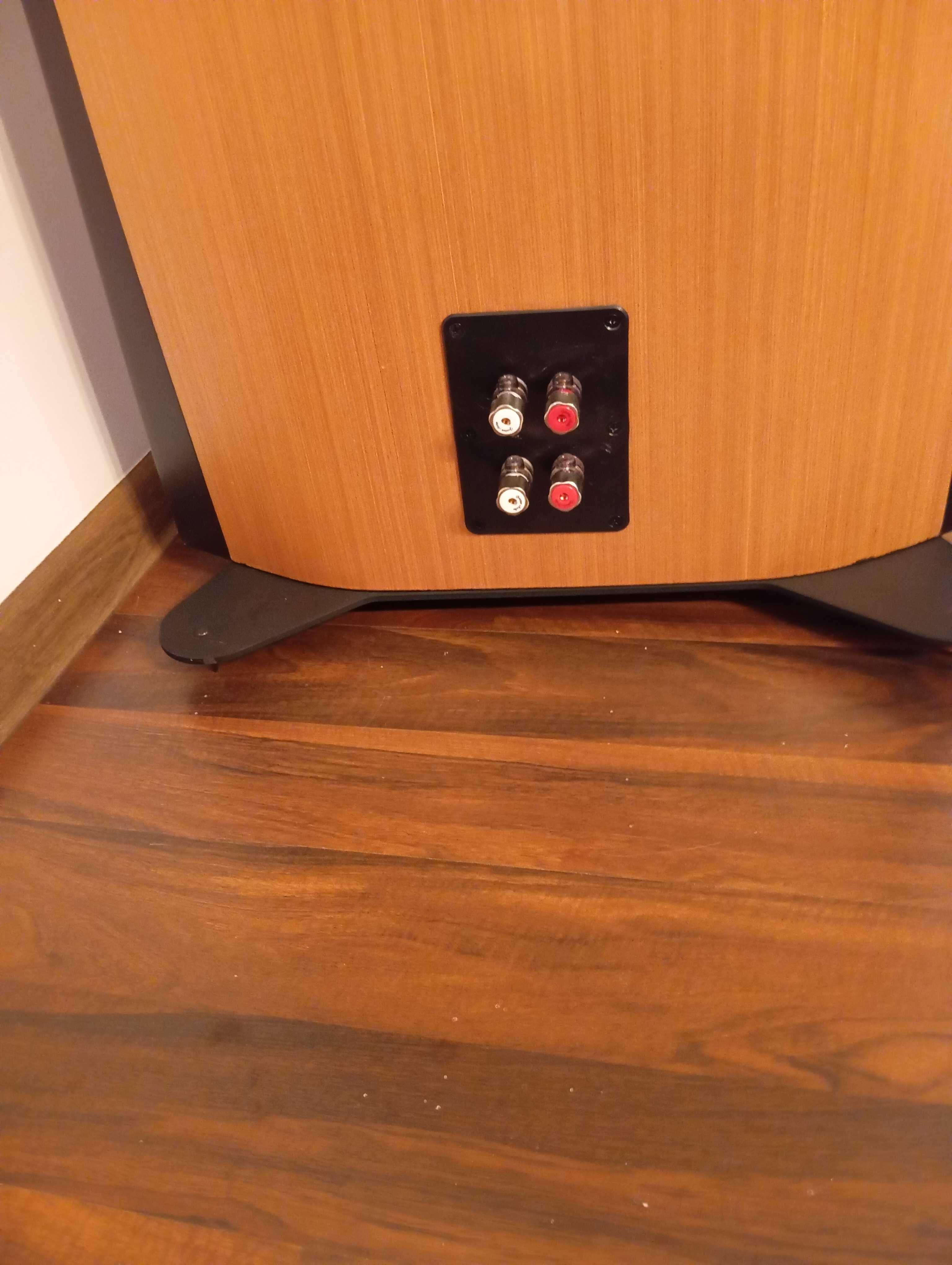 Troels Gravesen PMS DIY Sonus Faber  Scanspeak zobacz warto.