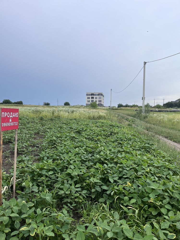 Продаж земельної ділянки в Березовиці