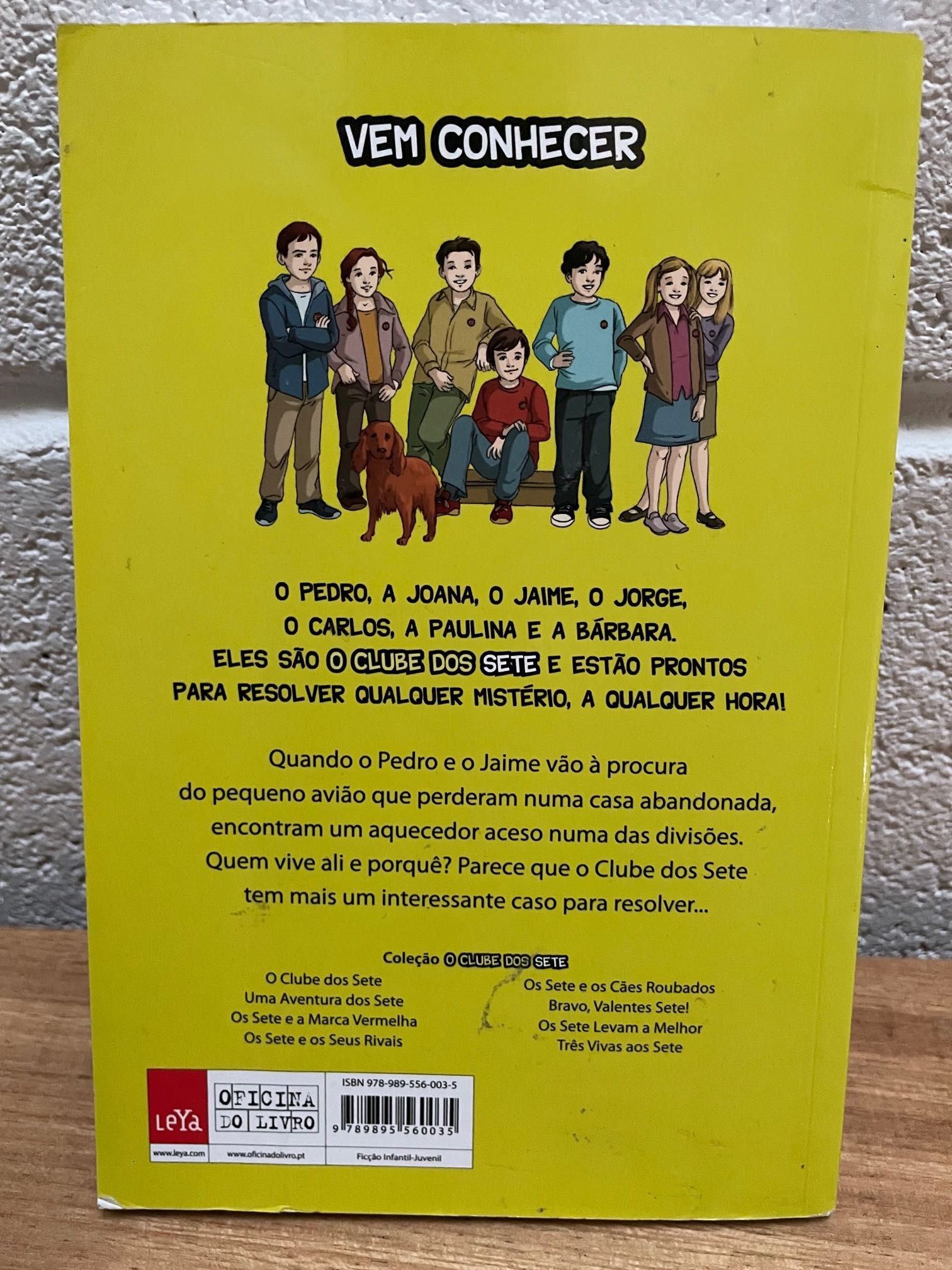 Leitura para Jovens adultos (leitura muito cativante)