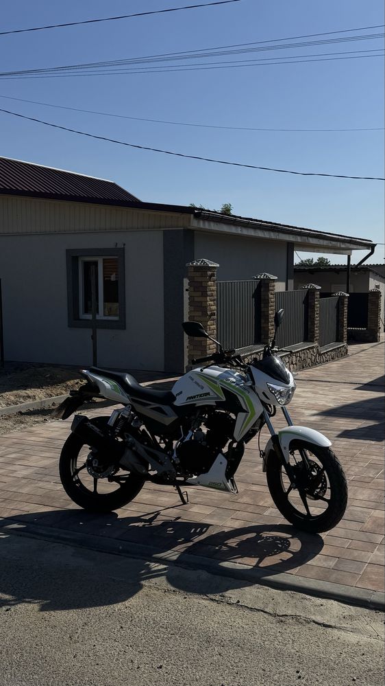 Geon pantera 250