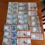 Notas de escudo colecao