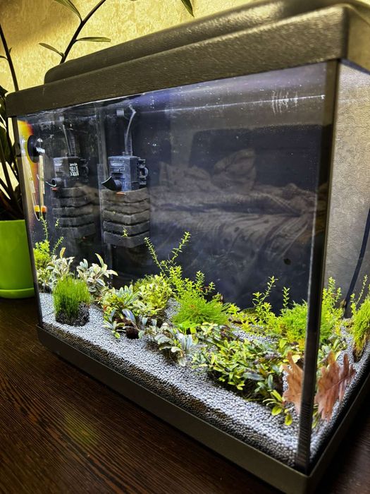 Акваріум креветочнік 35 лт запущений з всім необхідним.