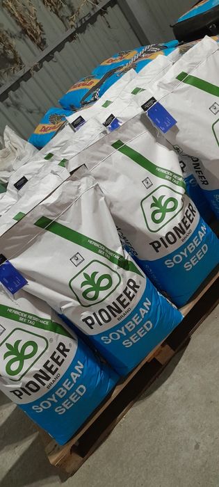 ''PIONER серія''А'' Elit  USA Соя посівна ГМО насіння сої на посів