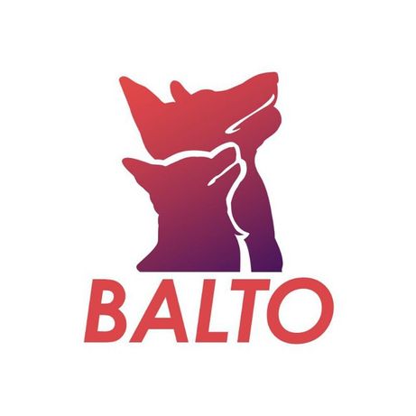 Balto школа для собак и их владельцев, гостиница- передержка