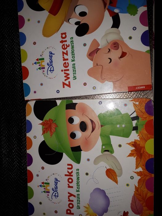 Zestaw książki Pory Roku, Zwierzęta Minnie, Disney