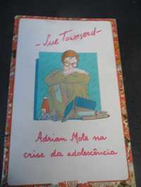 Adrian Mole na CRISE da Adolescência