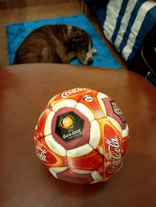 Bola autografada por Luís Figo