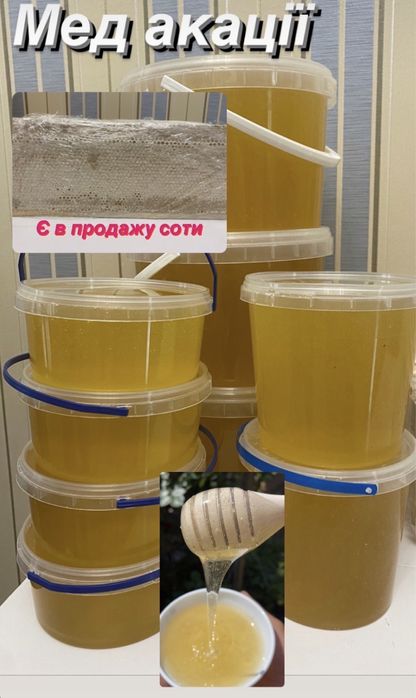 Мед акація, липа 2023, 2025р