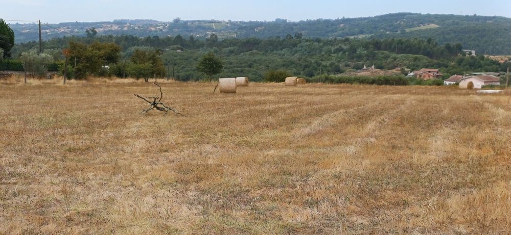 Terreno rústico para lotear