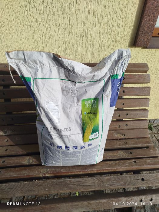 Кукурудза посівна сінгента