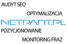 Pozycjonowanie, SEO, optymalizacja strony internetowej