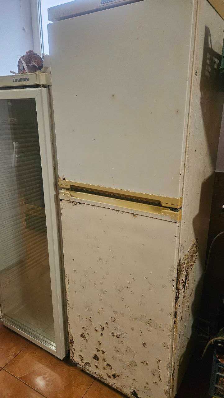 Продам Холодильники, Морозилки