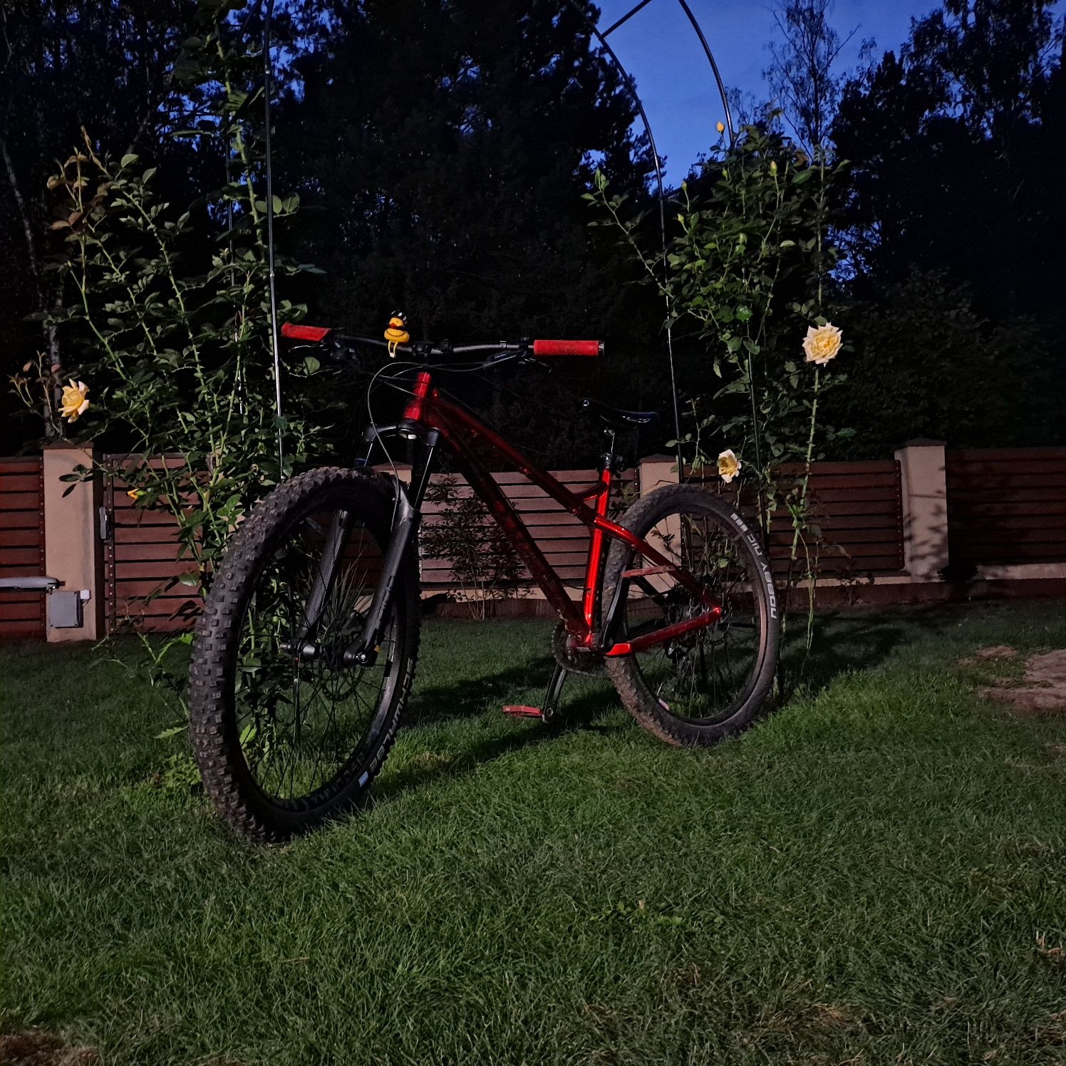 Dartmoor Primal Pro 2018 Red Devil