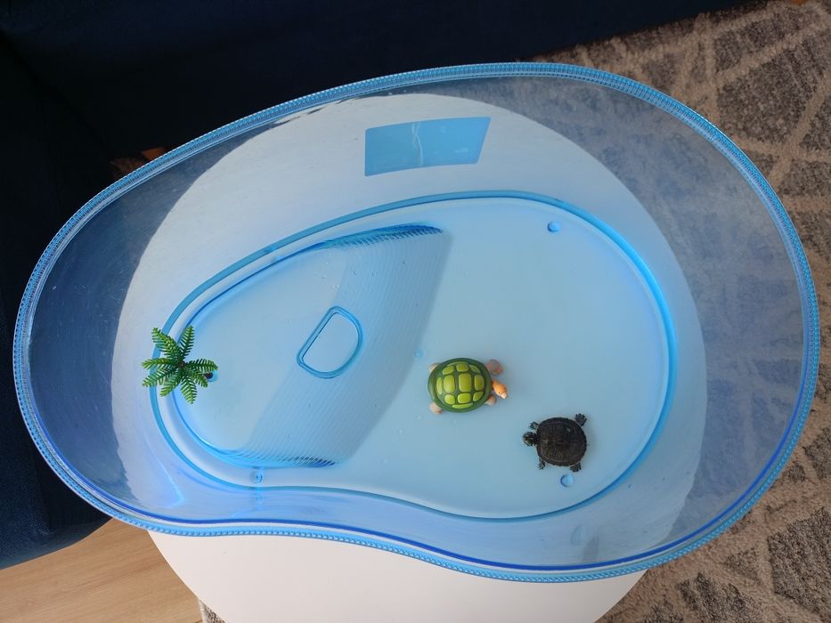 Terrarium dla żółwi