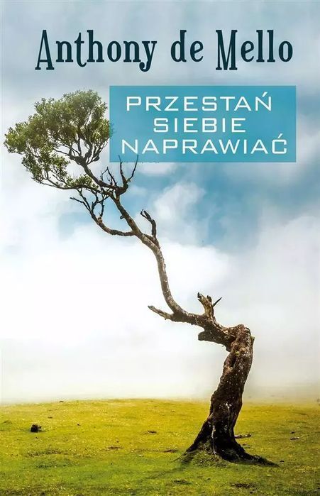 Przestań siebie naprawiać. Zysk i S-ka