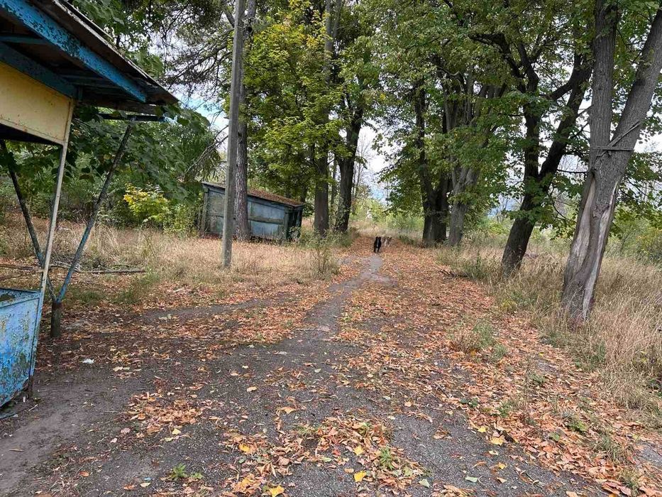 Продам бывший детский лагерь в центре пгт. Высокий