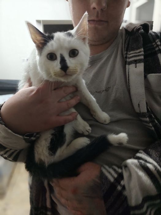 Fred i Welma szukają swoich ludzi