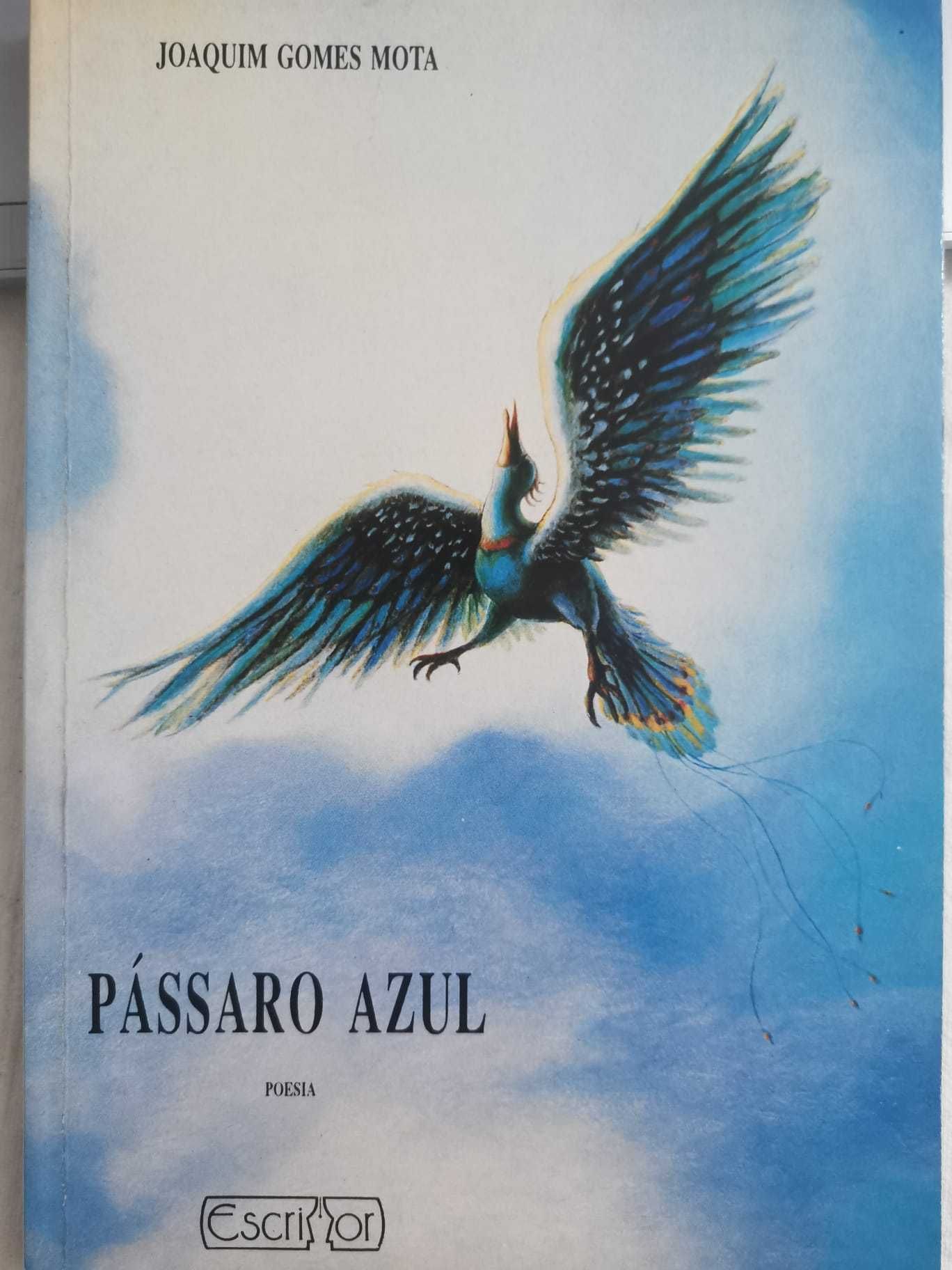 Pássaro Azul - Joaquim Gomes Mota