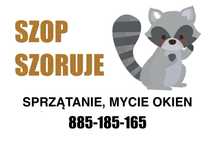 GRUNTOWNE sprzątanie mieszkań i domów, mycie okien