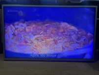 TV LG LED 32" modelo 32LH510B