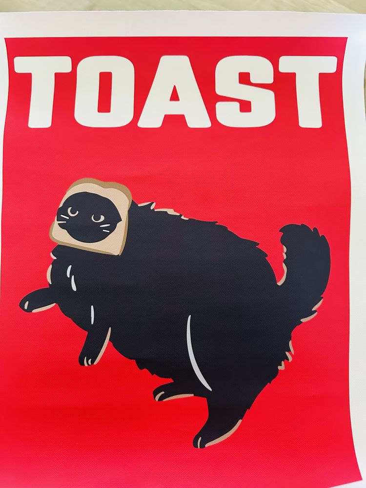 Plakat kot toast