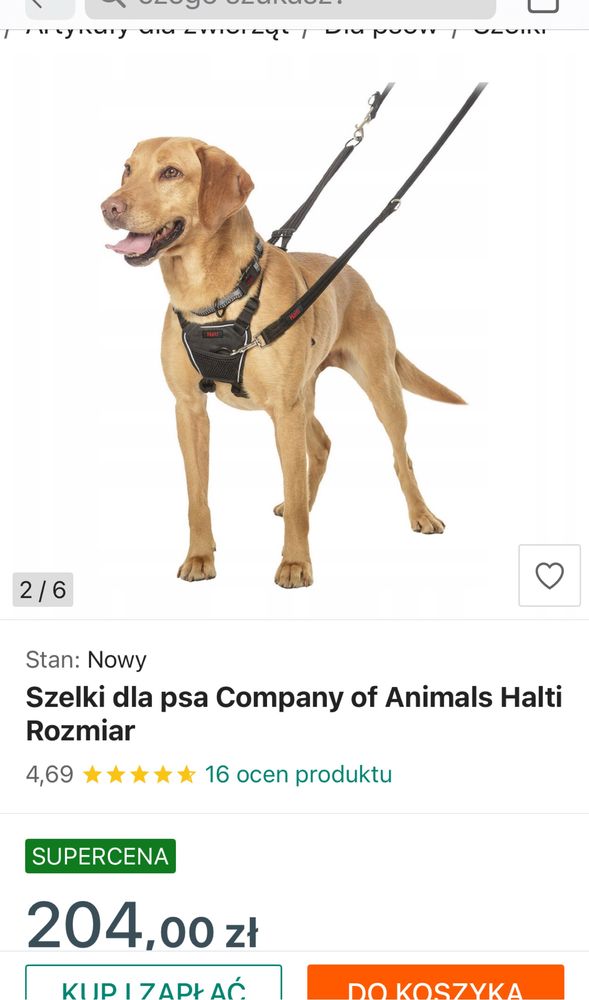Szelki • Uprząż dla psa Company of Animals „Halti” Rozmiar M - 34-56cm