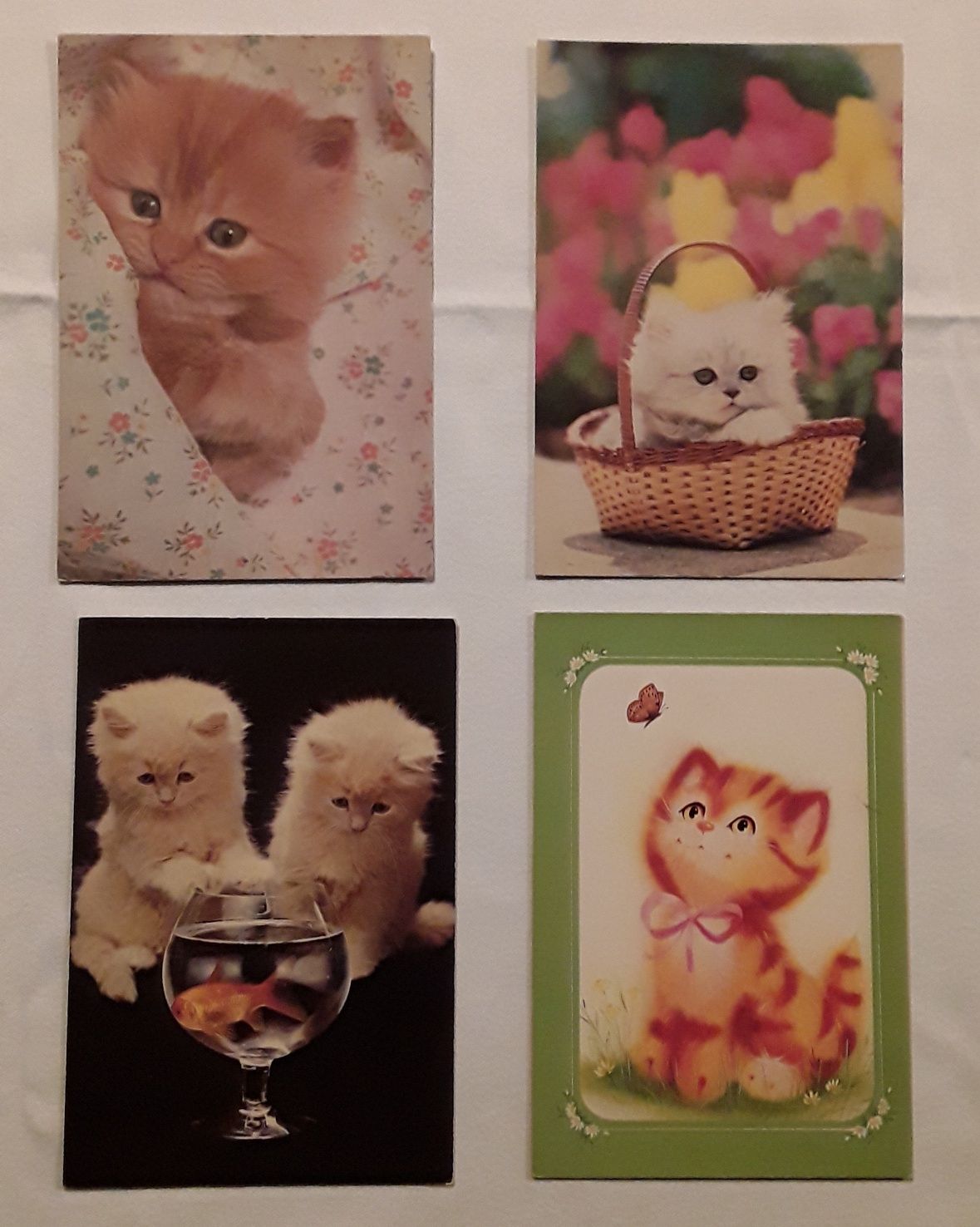 Conjunto de 4 postais de gatos, anos 80