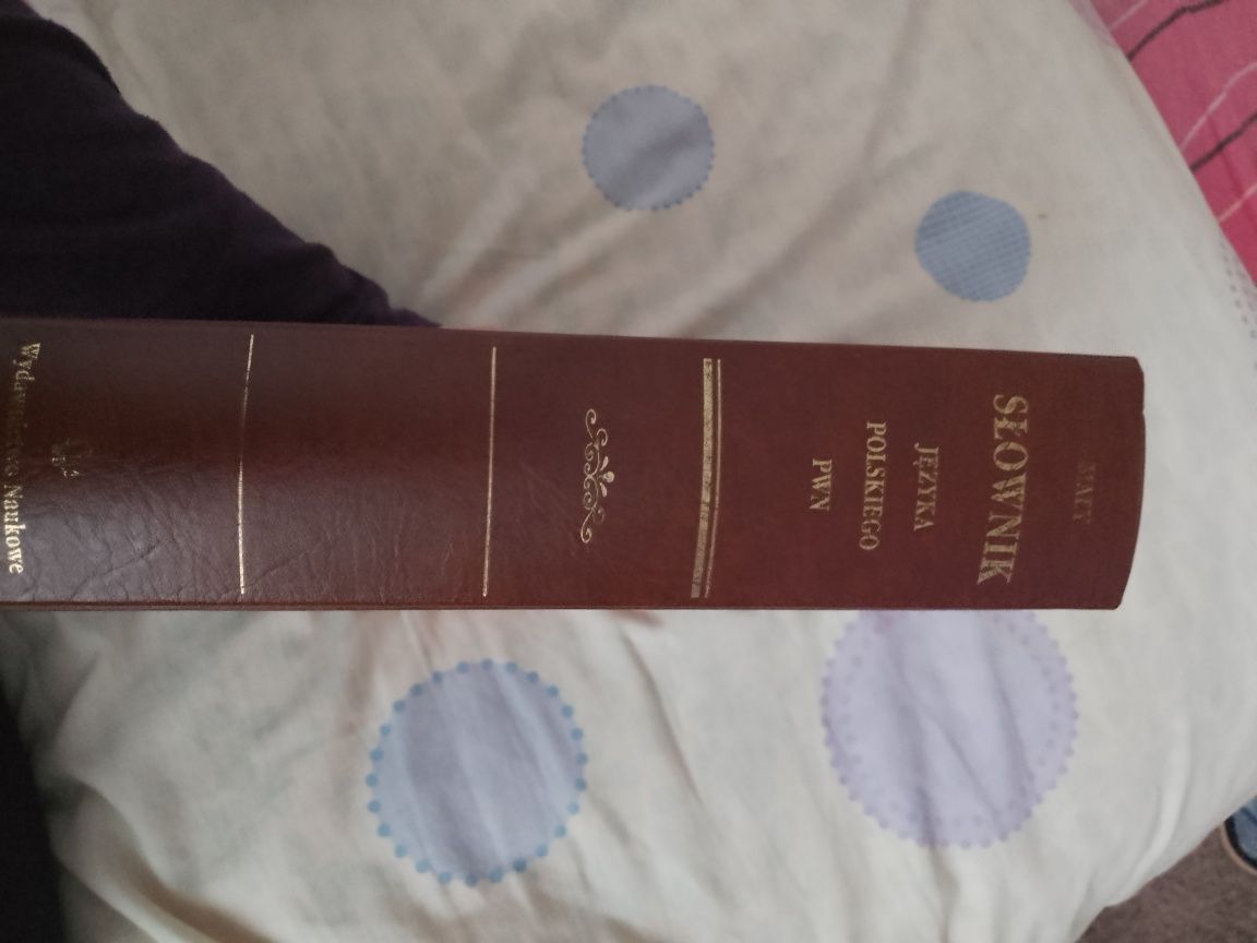 Słownik Języka Polskiego PWN 1993 r