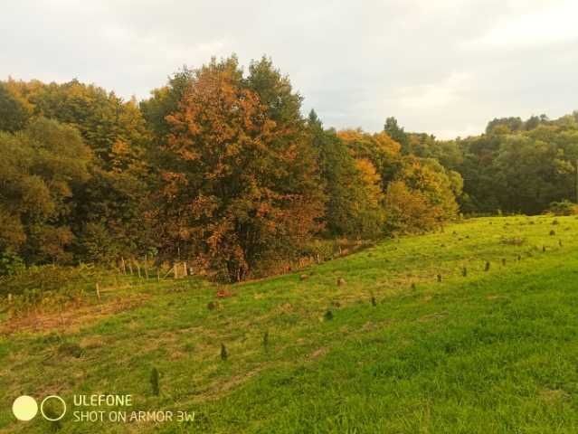 Sprzedam/Zamienię 7140m2 /Warunki zabudowy/Ładna działka